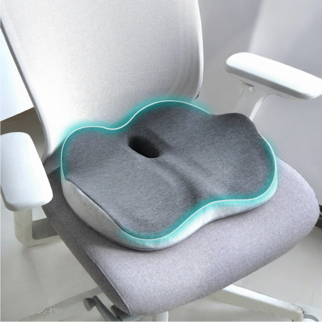 바른핏 자세교정 방석 메모리폼 기능성 허리 디스크 치질할인