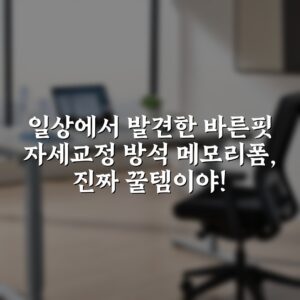일상에서 발견한 바른핏 자세교정 방석 메모리폼, 진짜 꿀템이야!